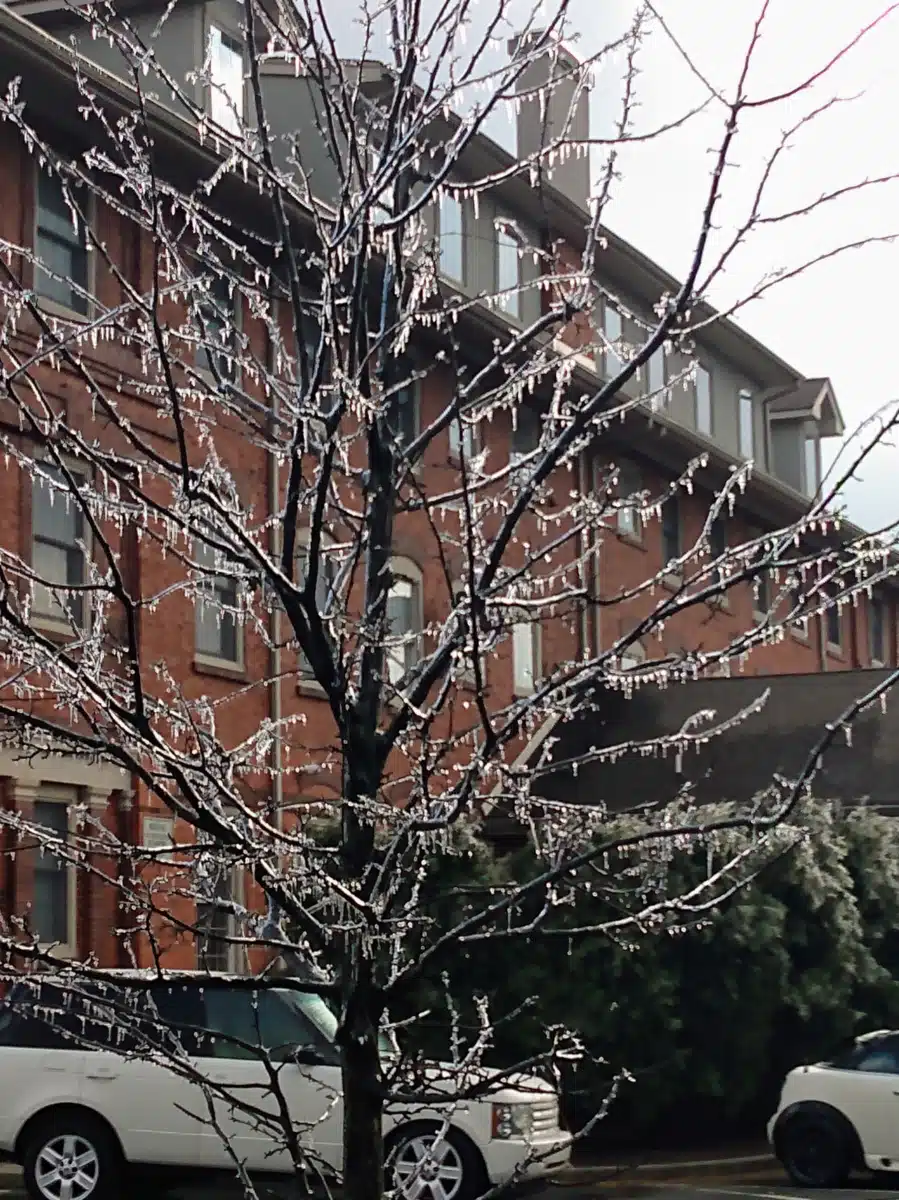 North West Essex Community - Thumbnail 7