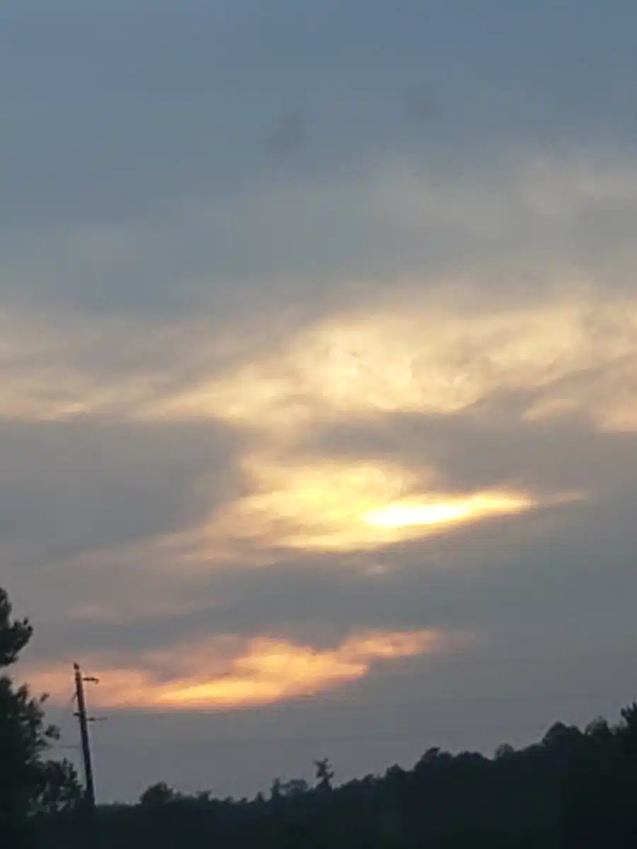 Northwest Alabama Mental Health Ctr - Thumbnail 4