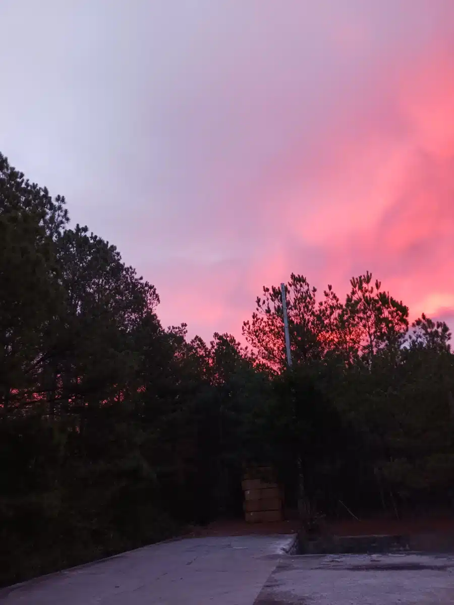 Northwest Alabama Mental Health Ctr - Thumbnail 8