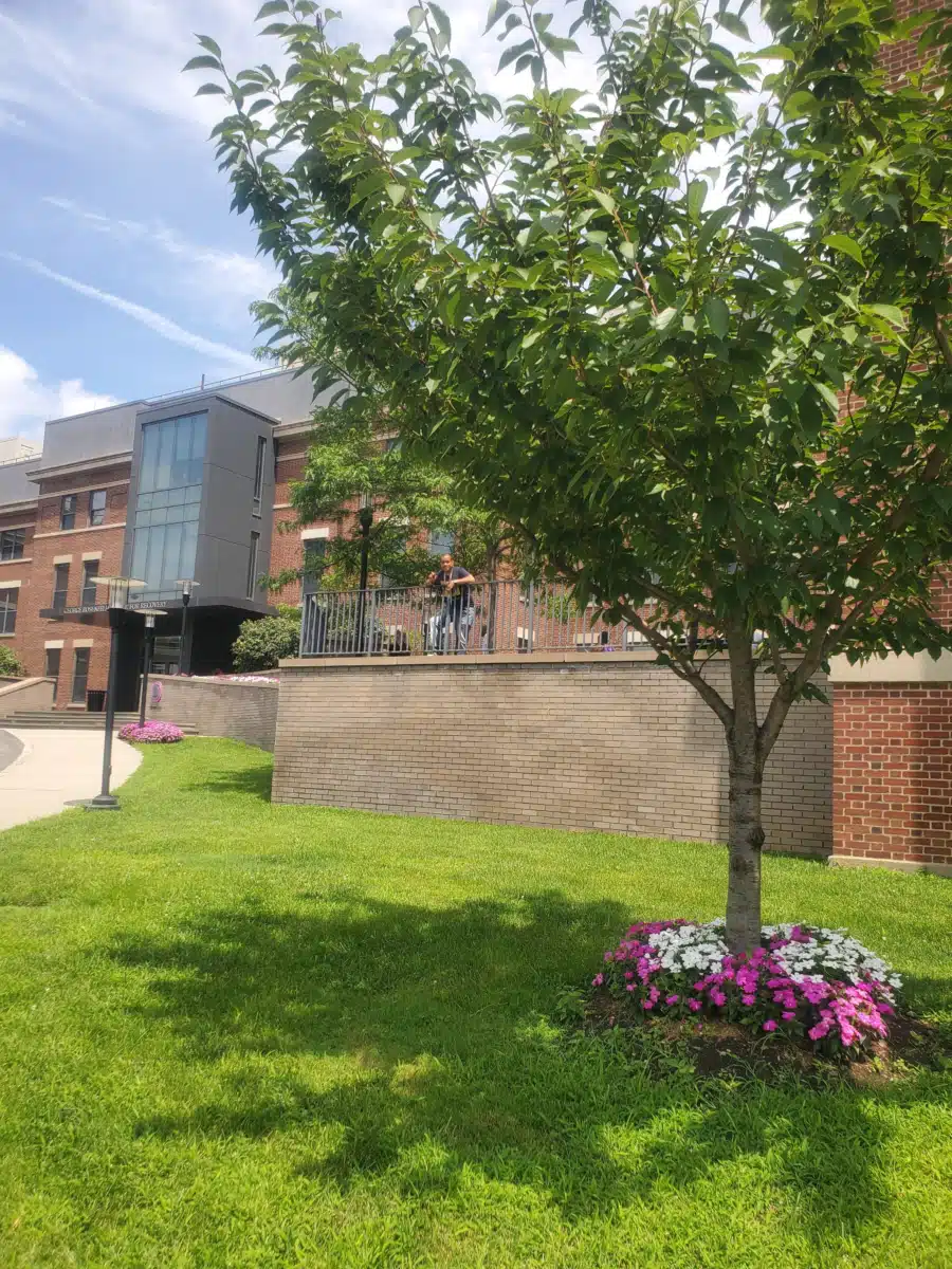 Odyssey Wards Island SRR 1 - Thumbnail 8