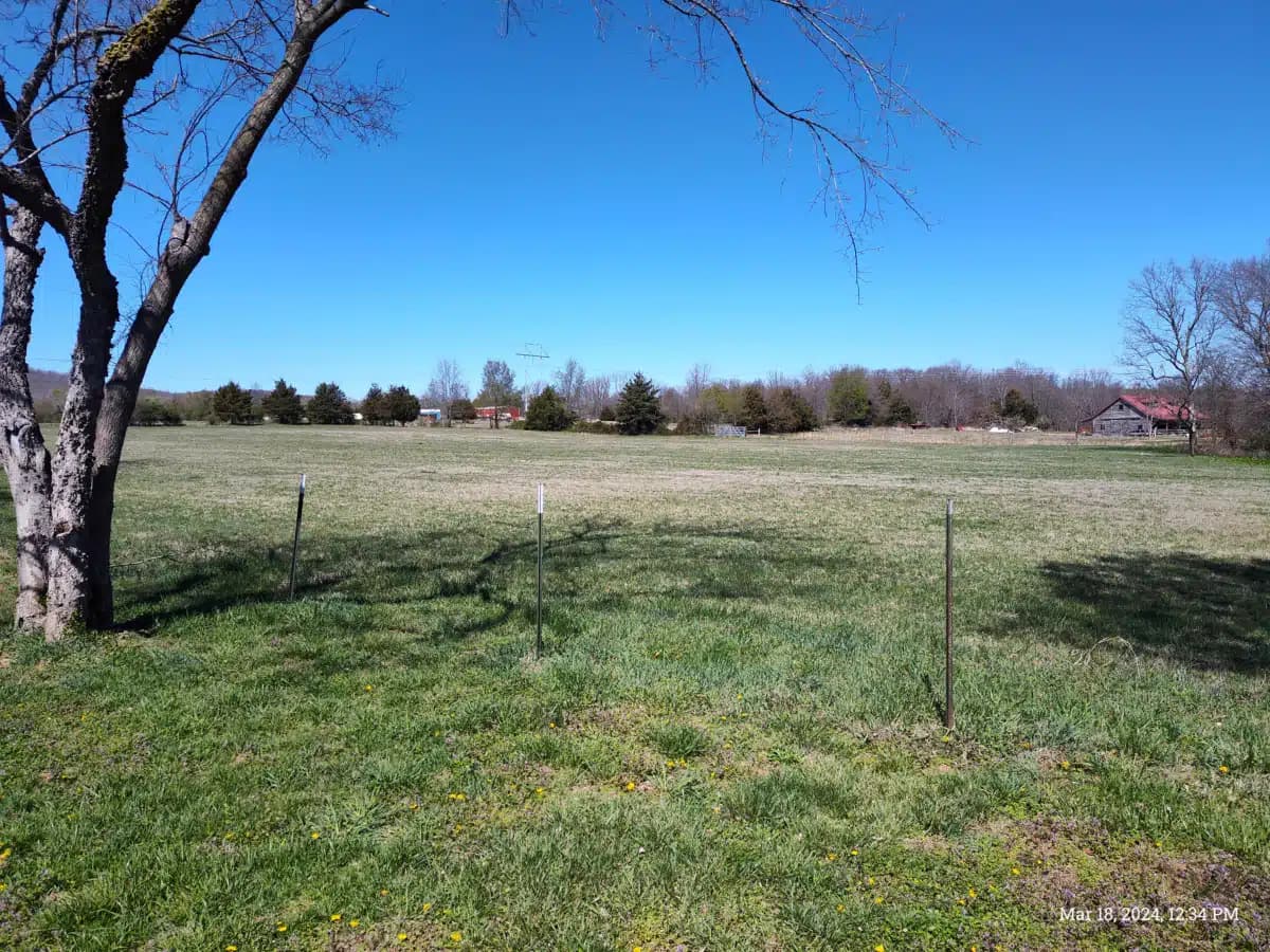 Olive Branch Recovery - Thumbnail 5