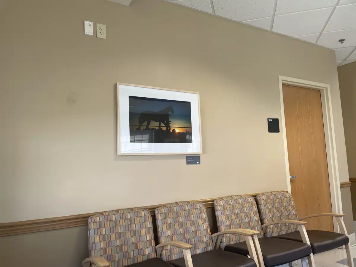 PATHways Program UK Healthcare - Thumbnail 7