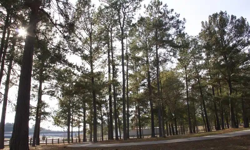 Pine Grove BH and Addiction Servs - Thumbnail 7