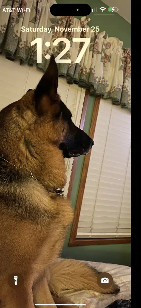 Positive Steps Inc - Thumbnail 6