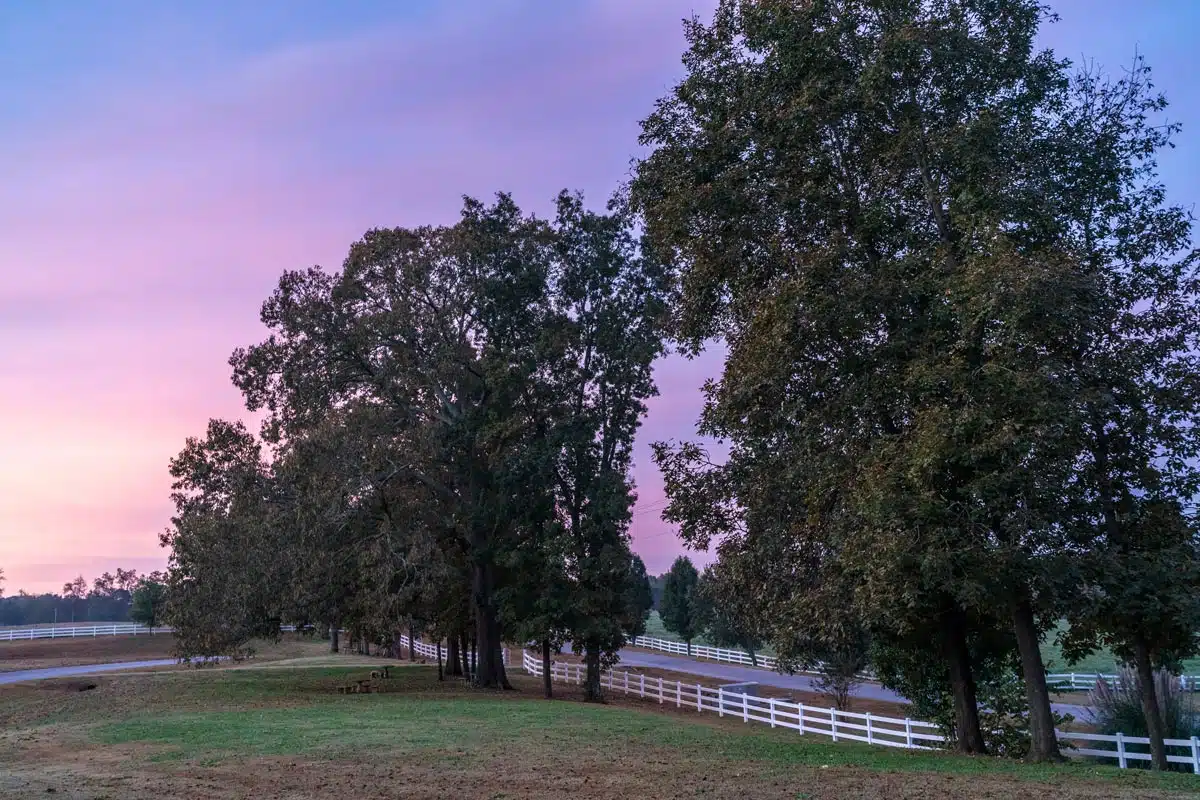 Potters House - Thumbnail 4