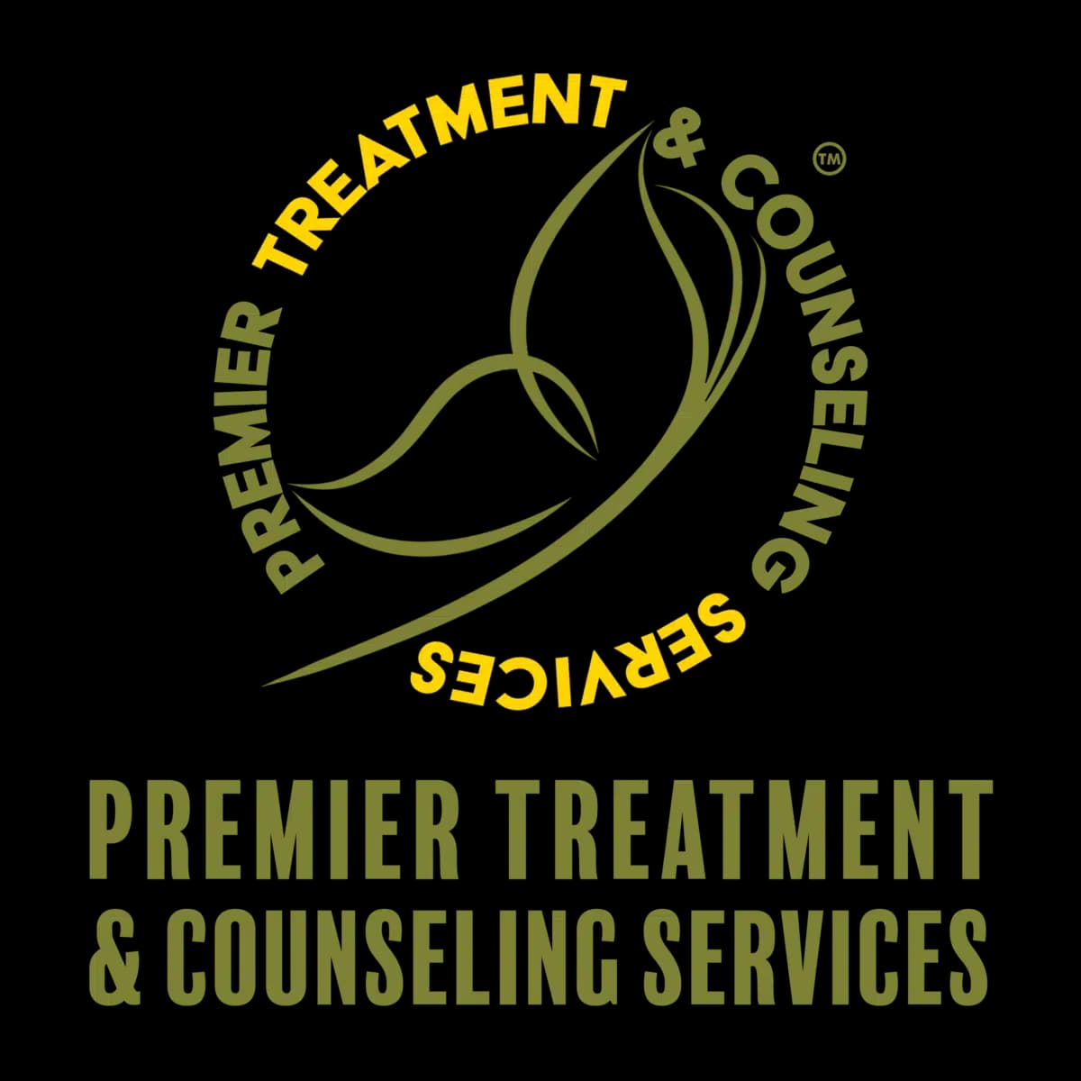 Premier Treatment and Counseling - Thumbnail 3