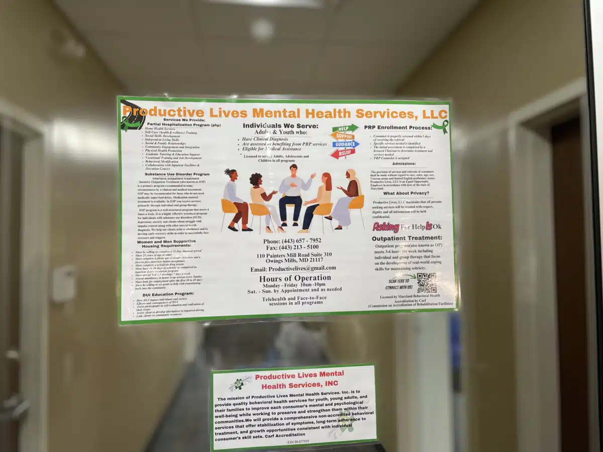 Productive Lives Mental Health LLC - Thumbnail 4