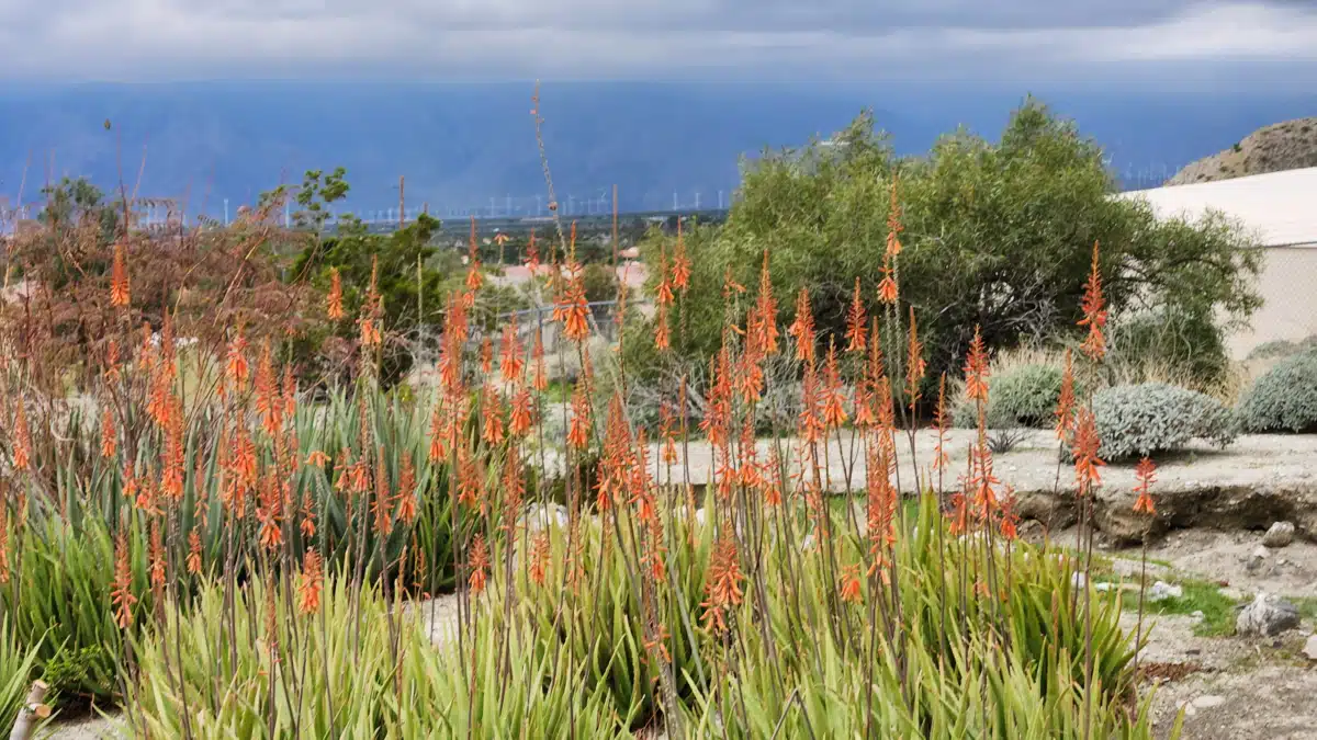 Ranch Recovery Centers Inc - Thumbnail 9