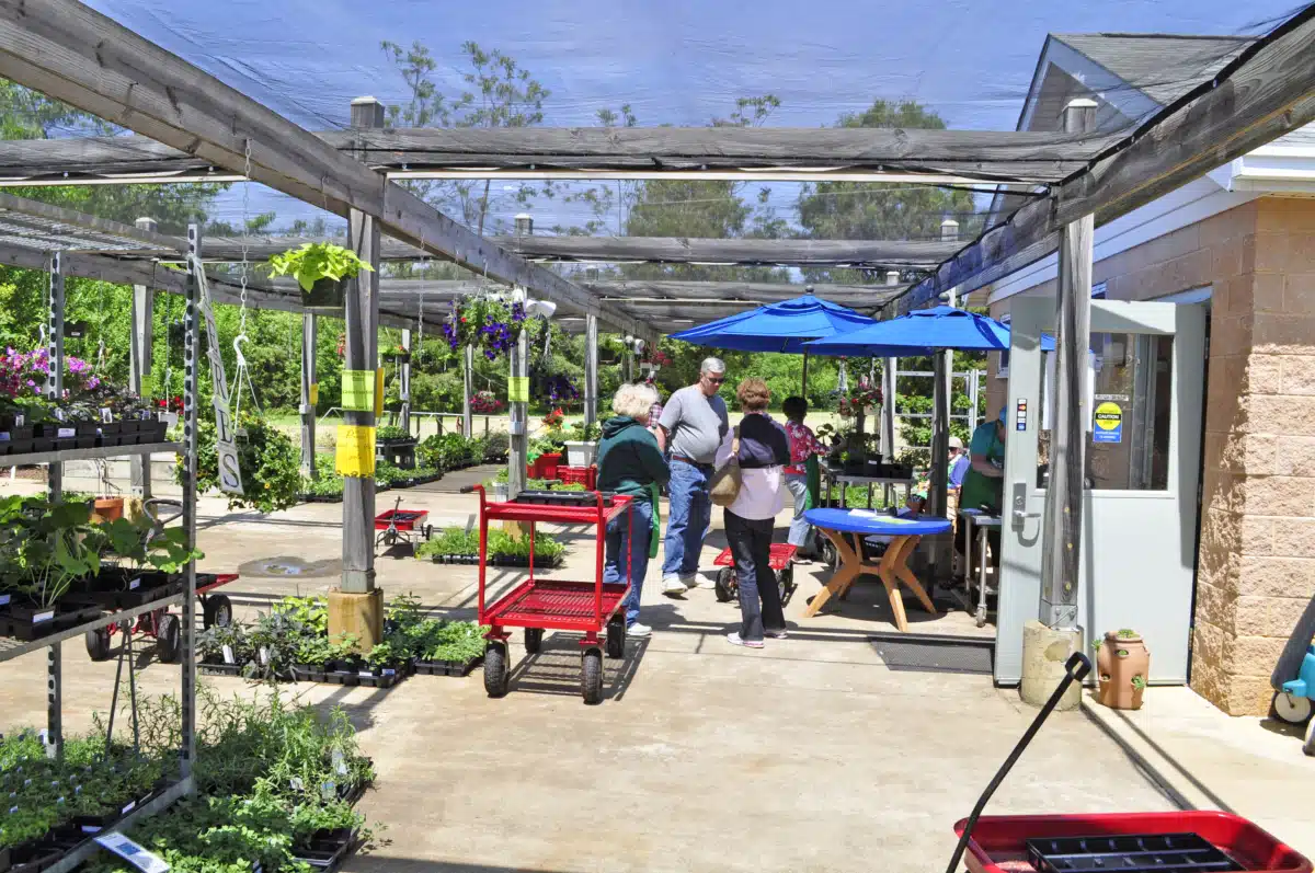 Rappahannock Area Comm Servs Board - Thumbnail 5