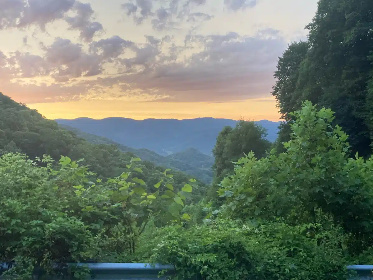 Red Oak Recovery - Thumbnail 7