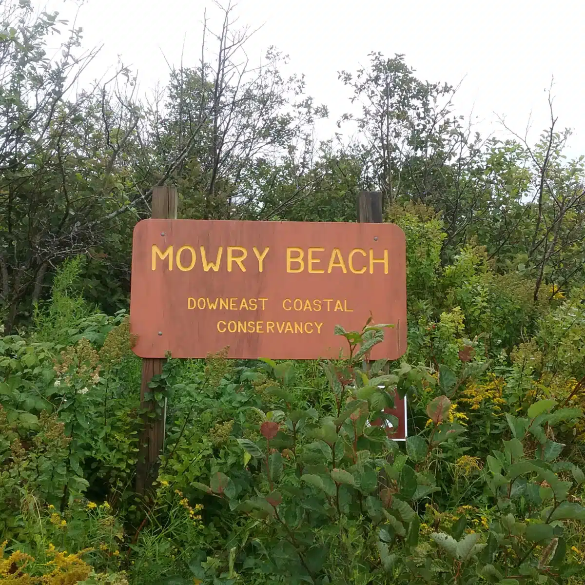 Regional Medical Center at Lubec
