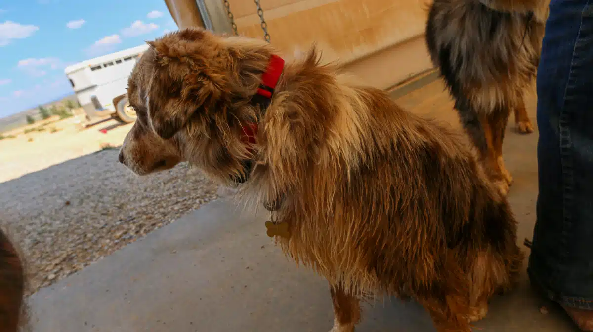 Renewed Hope Ranch - Thumbnail 9