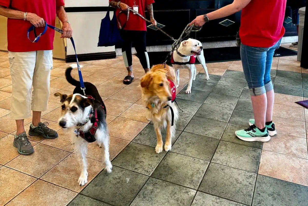 Richard C Ward Addiction Trt Center - Thumbnail 8