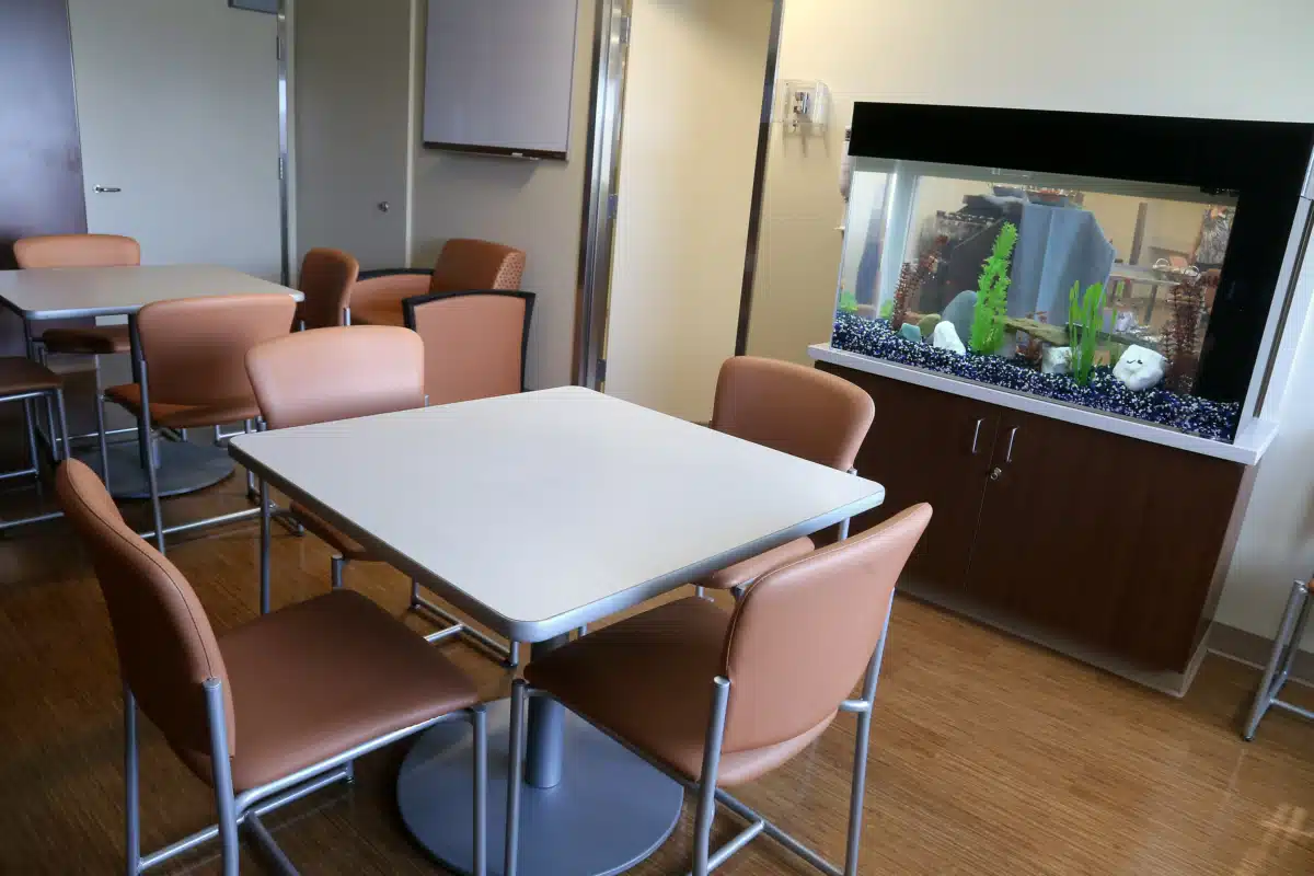 Rosary Hall - Thumbnail 9