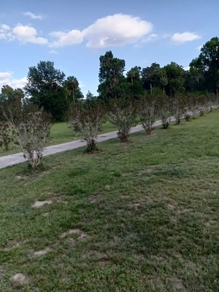 SMA Adult Residential - Thumbnail 4