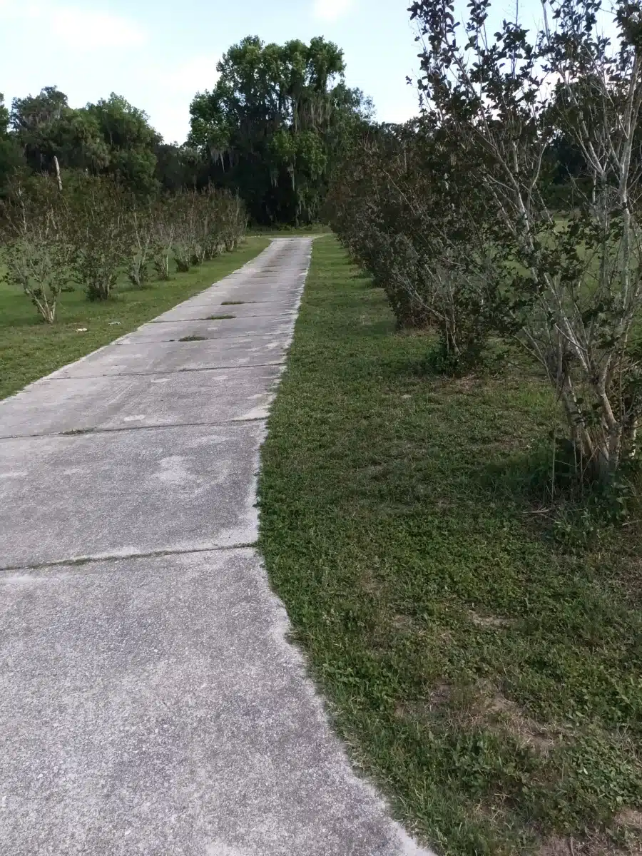 SMA Crisis - Thumbnail 6