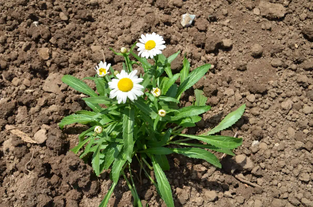 Salvation Army Harbor Light Center - Thumbnail 10