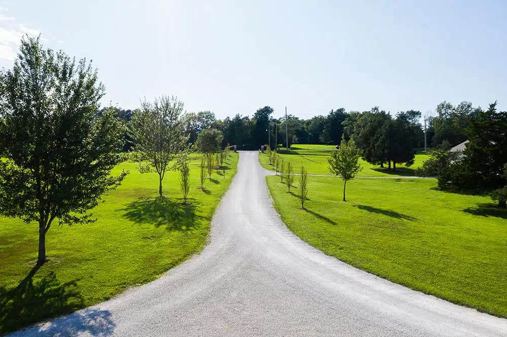 Sana Lake Recovery - Thumbnail 10