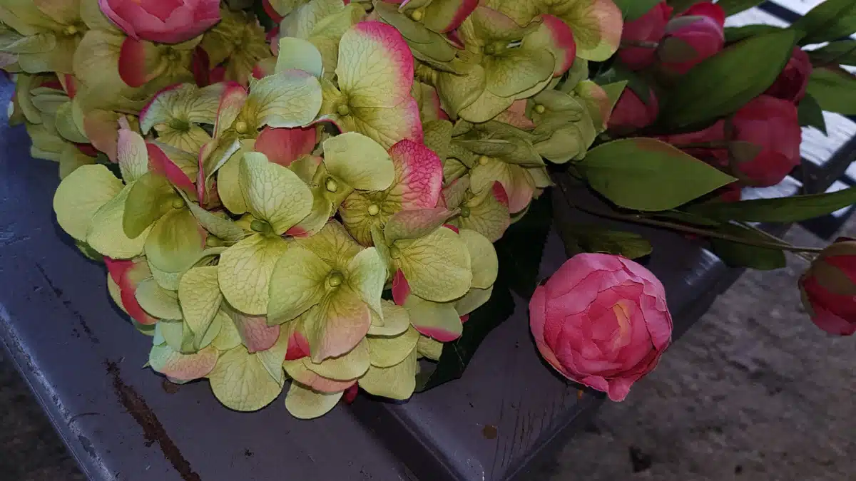 Sanctuary Incorporated of Guam - Thumbnail 2