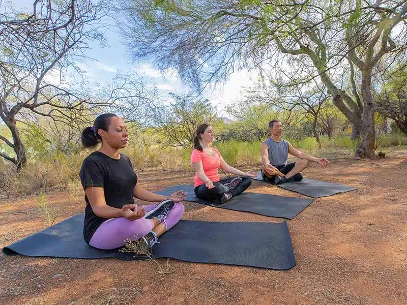 Sierra Tucson - Thumbnail 6