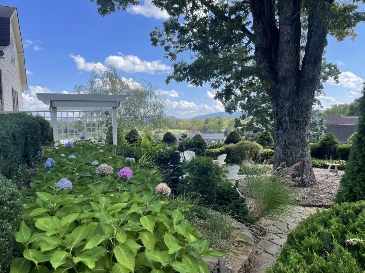 Silver Ridge - Thumbnail 5