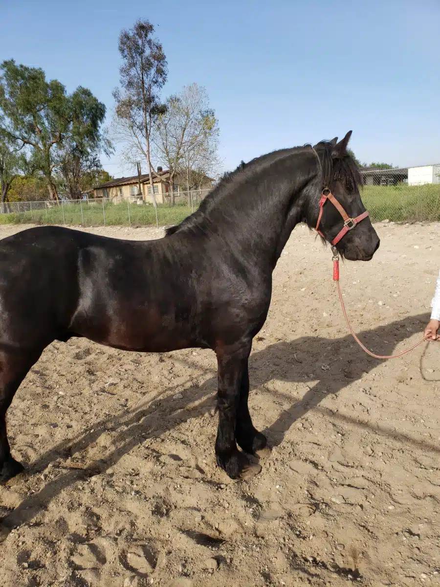 Social Science Services Inc - Thumbnail 3