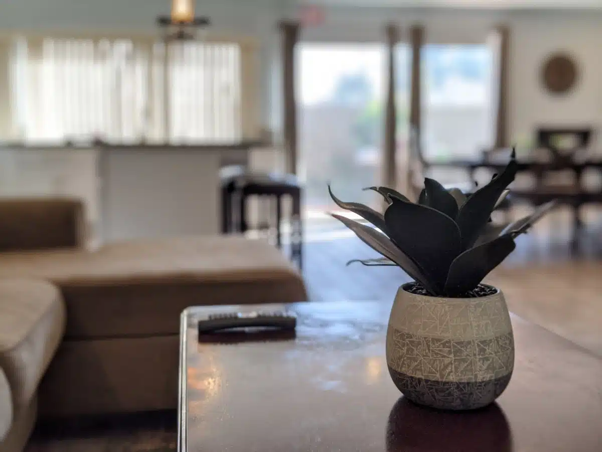 South Coast Behavioral Health - Thumbnail 10