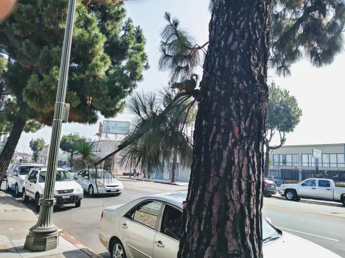 Special Services for Groups Inc - Thumbnail 5