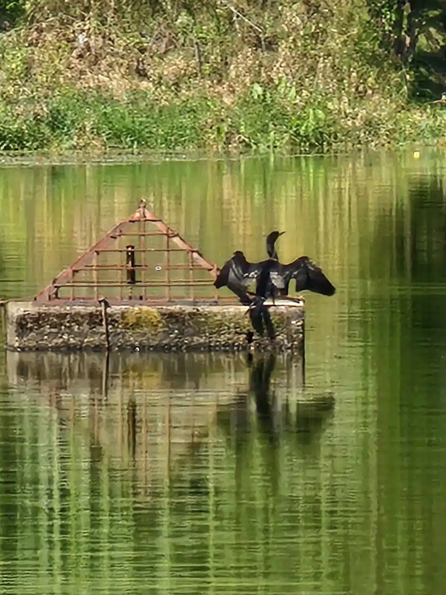 SpiritLife Inc - Thumbnail 6