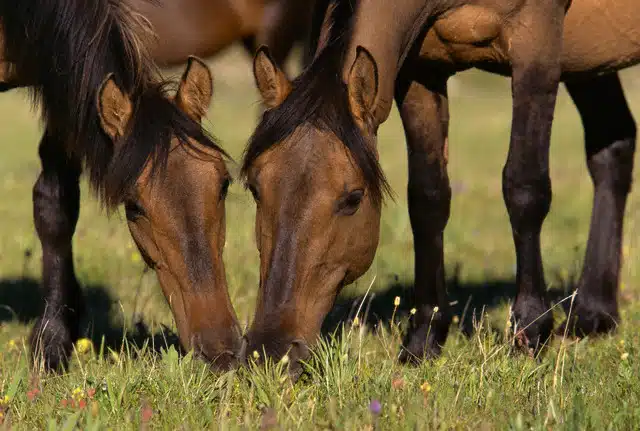 Stillwater Academy - Thumbnail 4