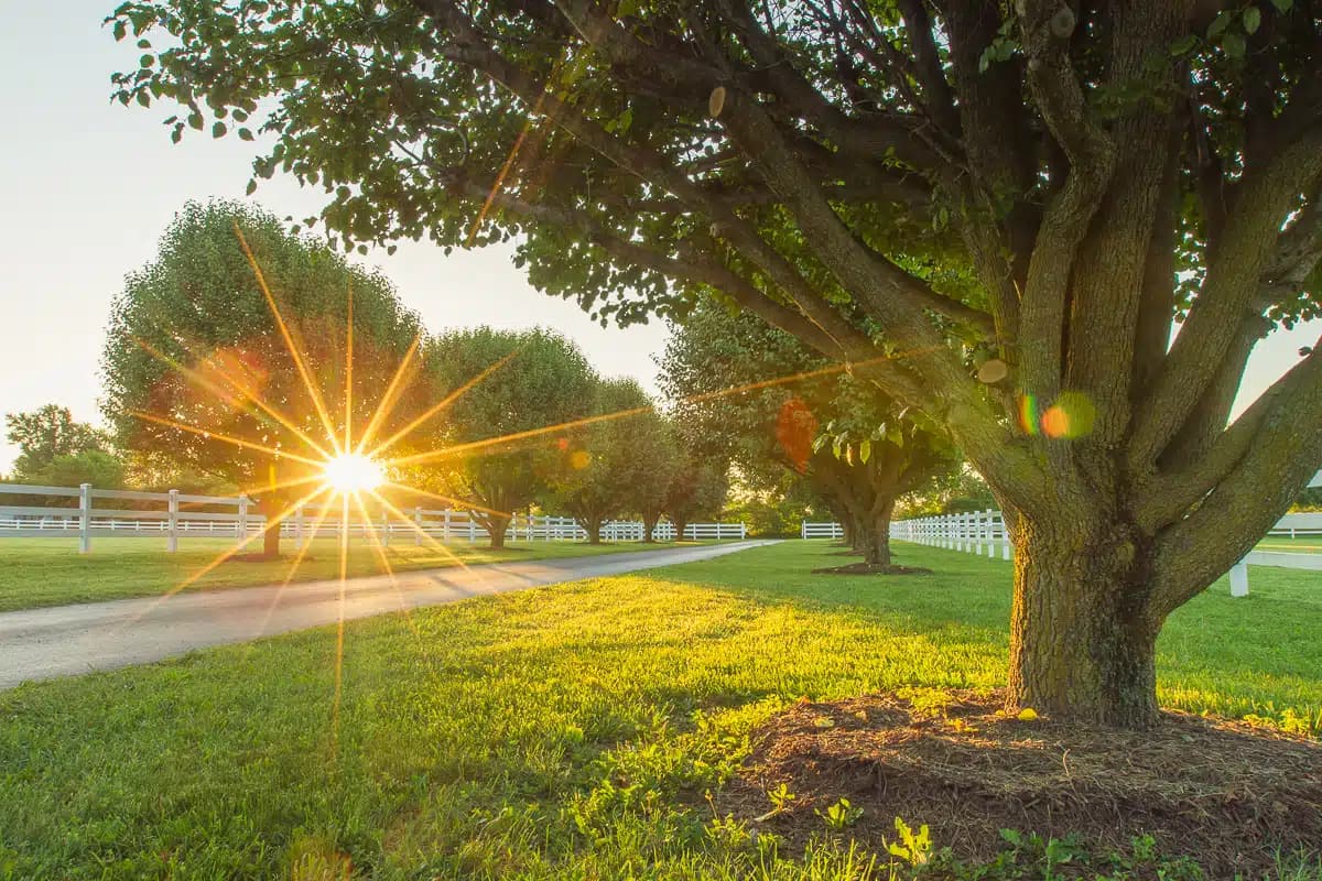 Synergy Recovery Center - Thumbnail 10