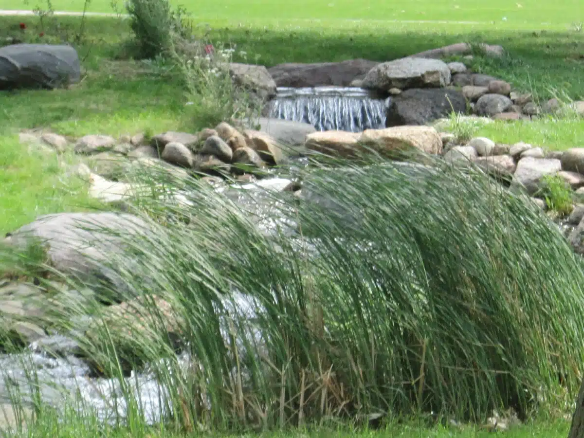 Tallgrass Recovery and - Thumbnail 7