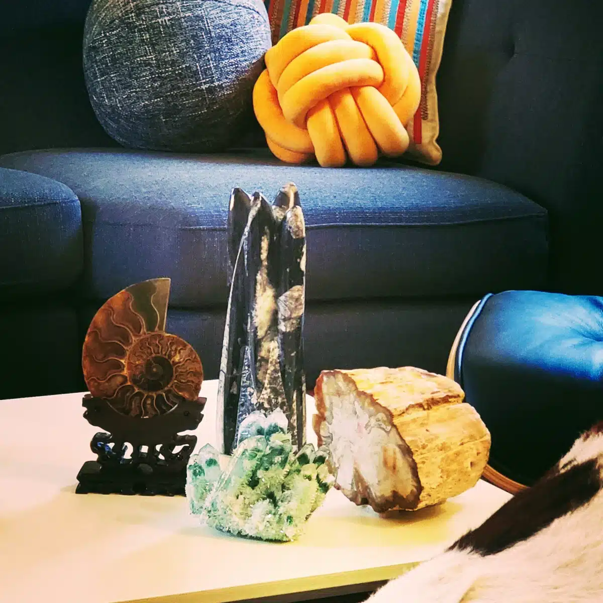 Taproot Therapy Collective - Thumbnail 7