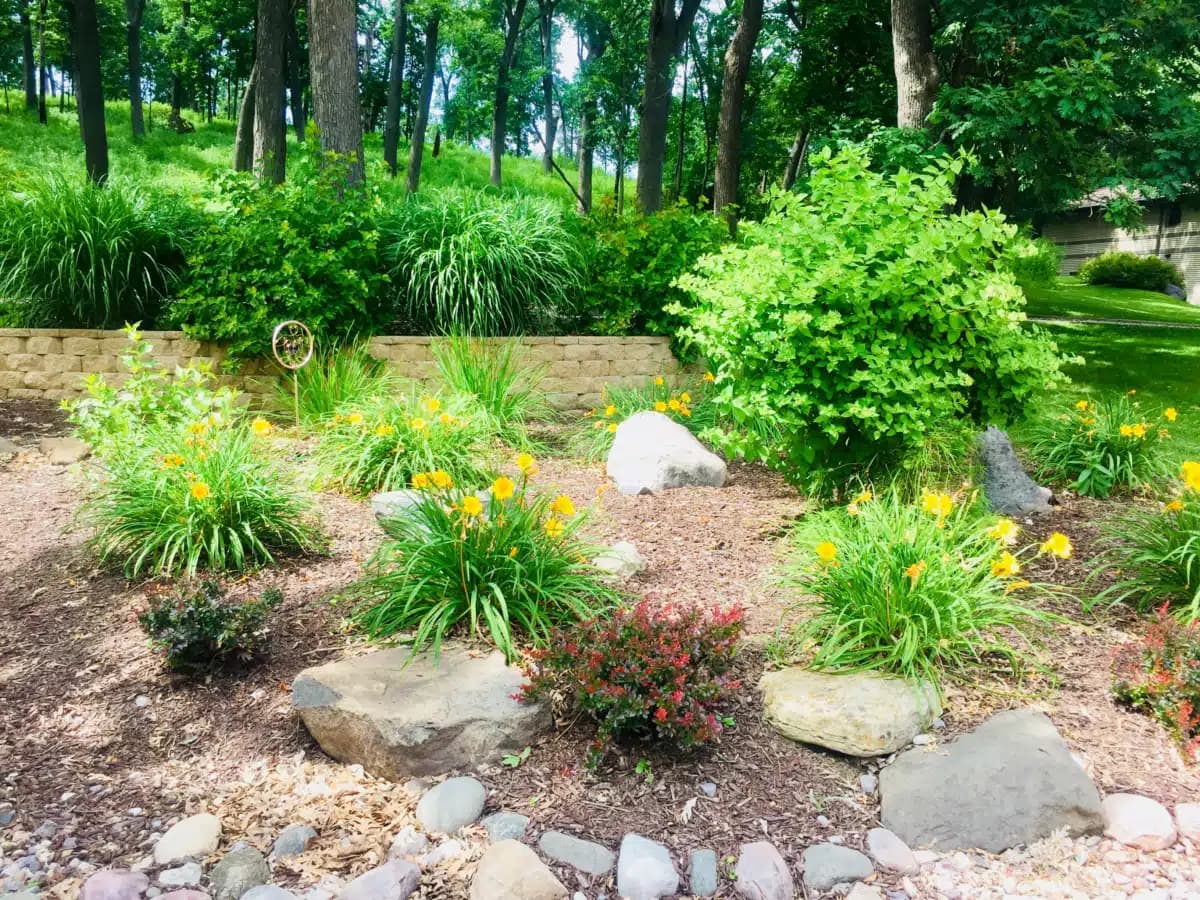 Tellurian Inc - Thumbnail 3