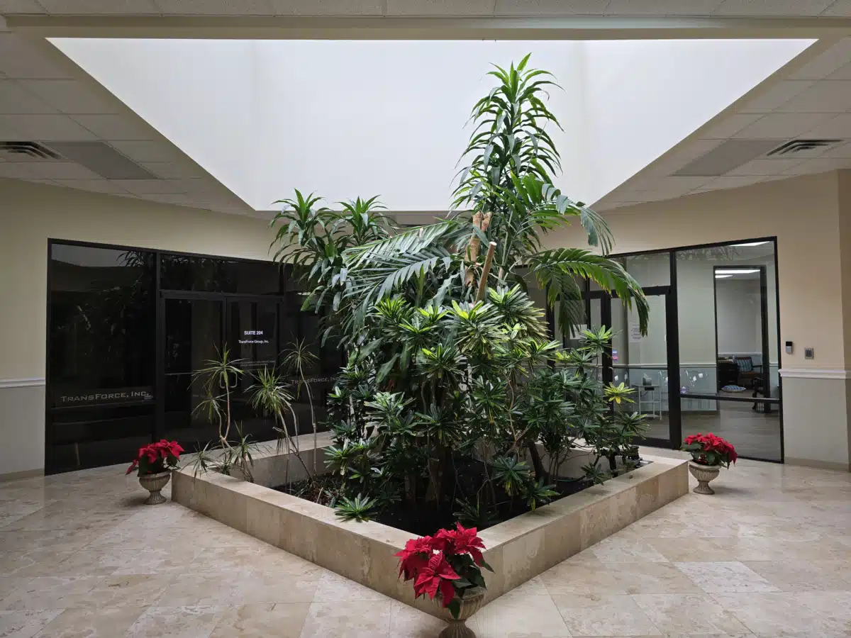 Texas Clinic - Thumbnail 2