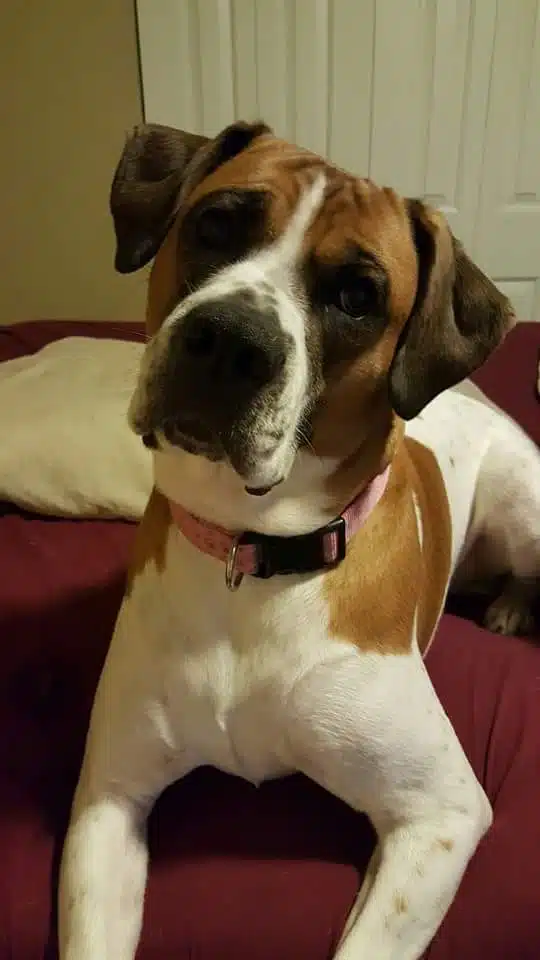 Trinity Community Coalition Outreach - Thumbnail 4