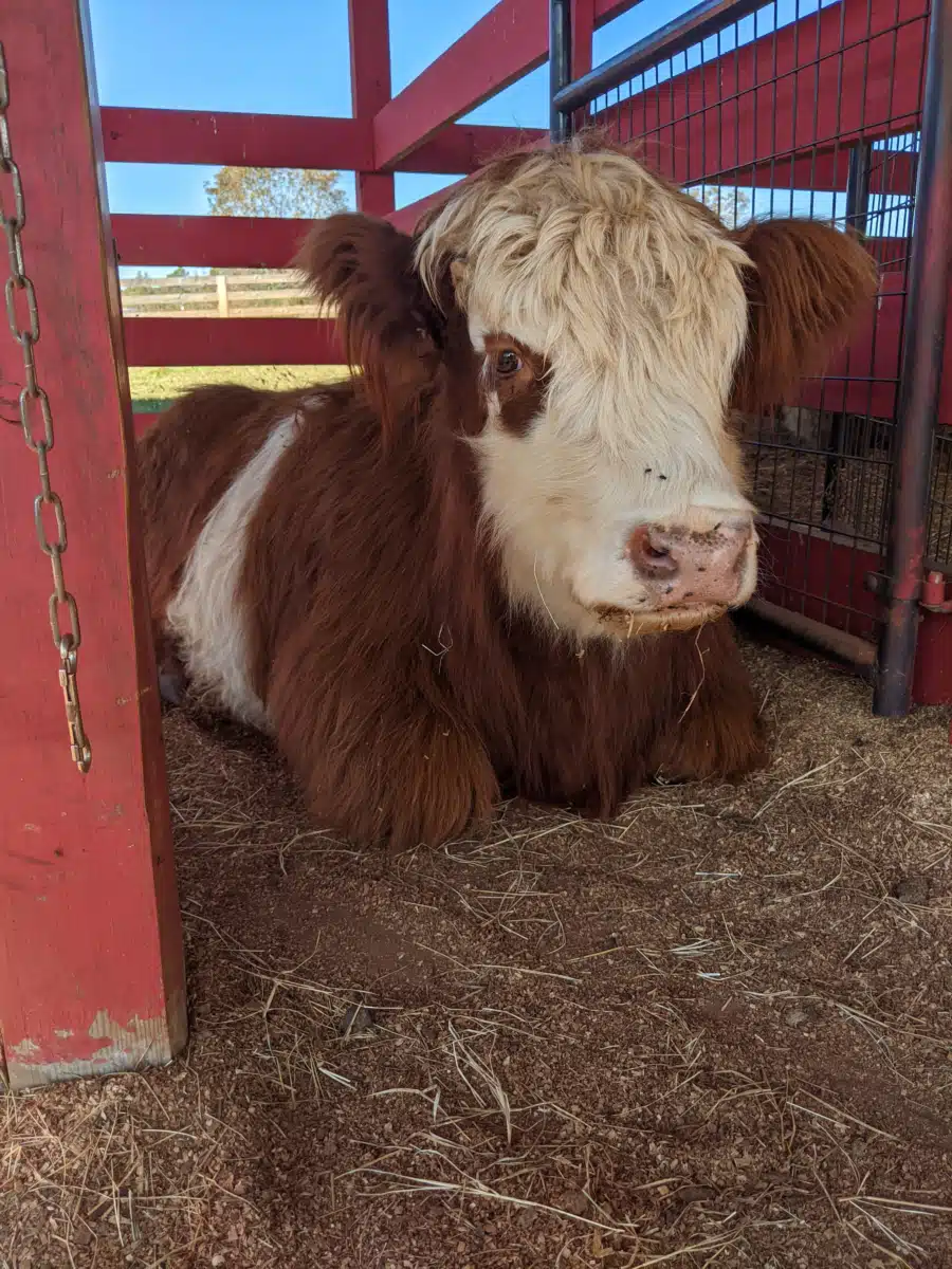 Twin Lakes Recovery Center - Thumbnail 9