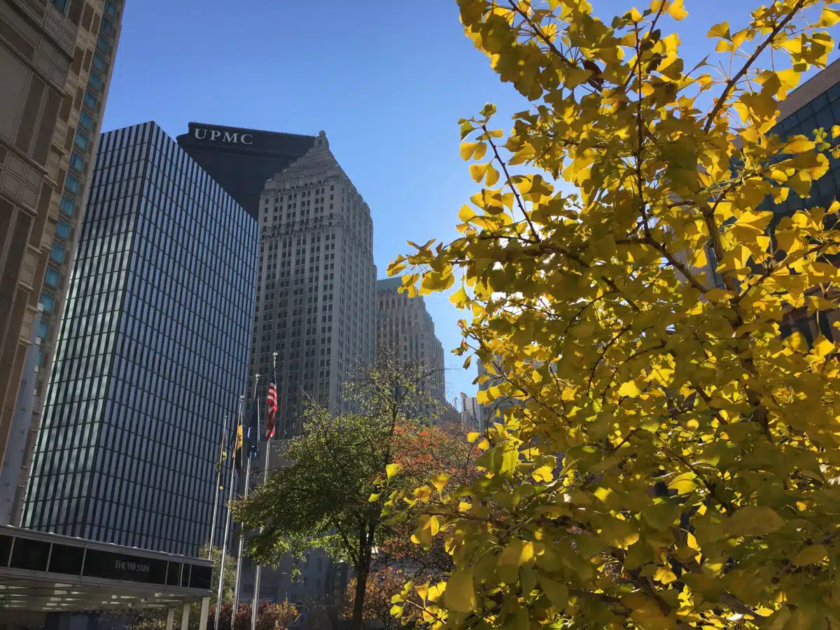 UPMC Mercy Hospital - Thumbnail 3