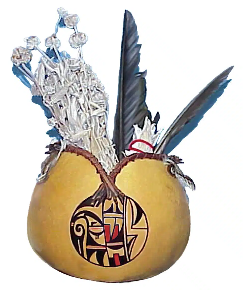 United American Indian Involvement - Thumbnail 6