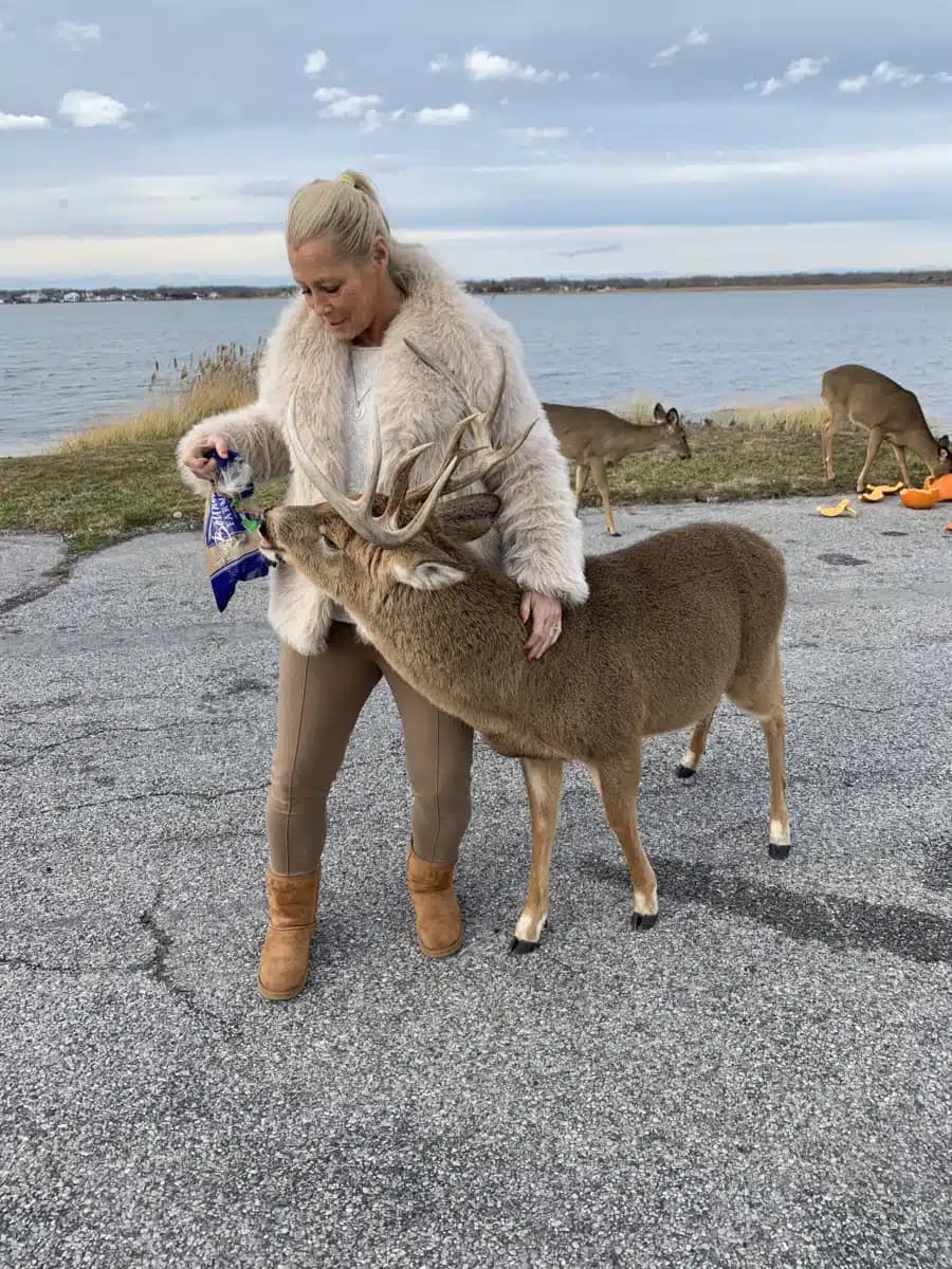 University Hospital/Stony Brook ELIH - Thumbnail 3