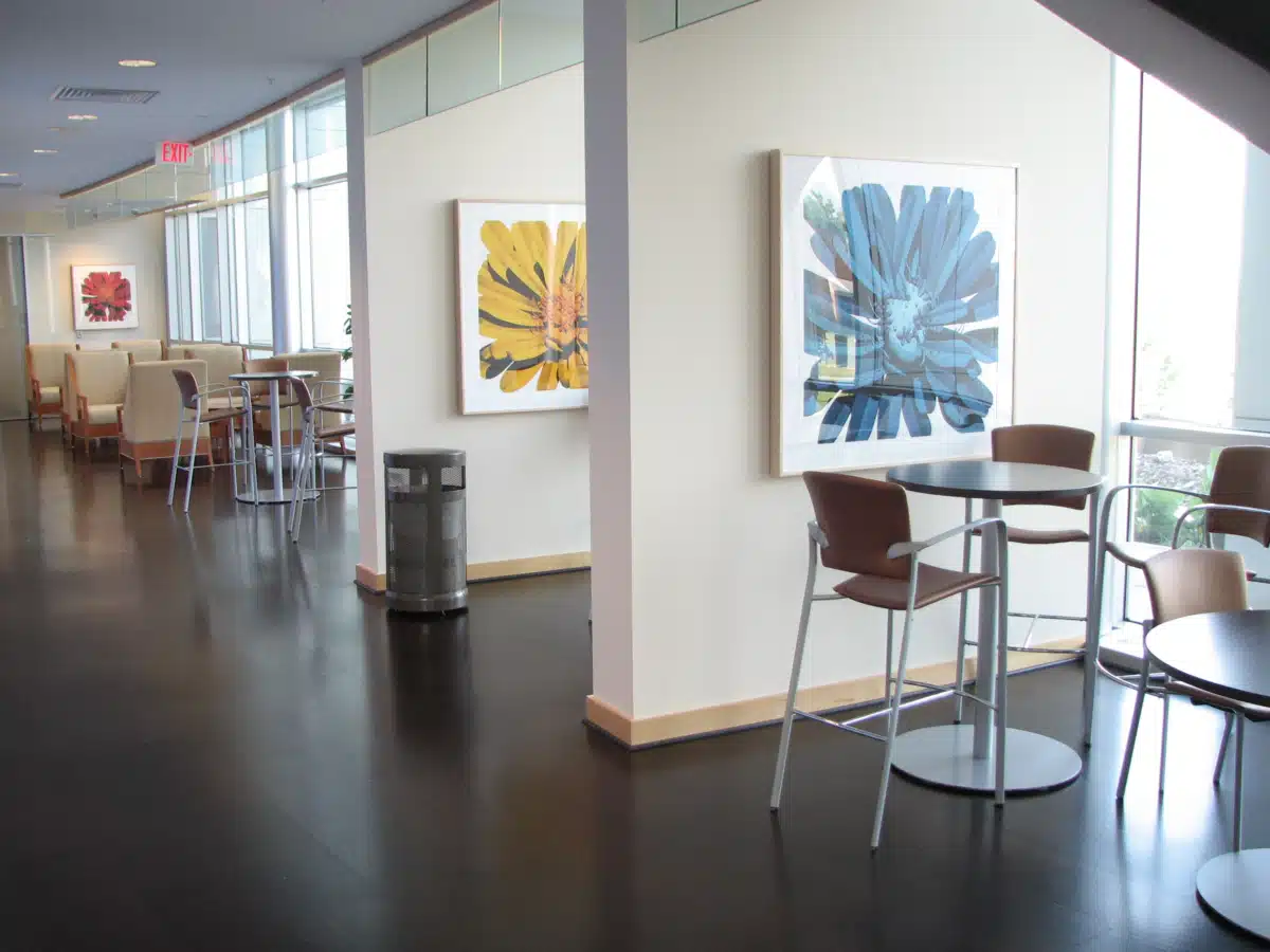 University of Arkansas for - Thumbnail 3