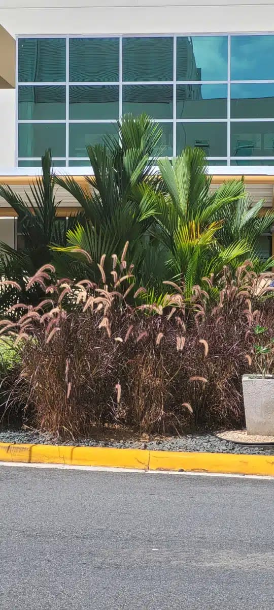 VA Caribbean Healthcare System - Thumbnail 6