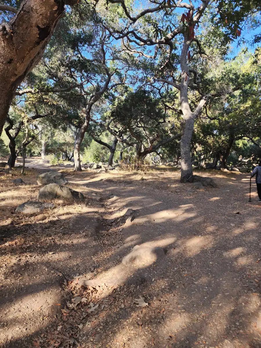 VA Greater LA Healthcare System - Thumbnail 6