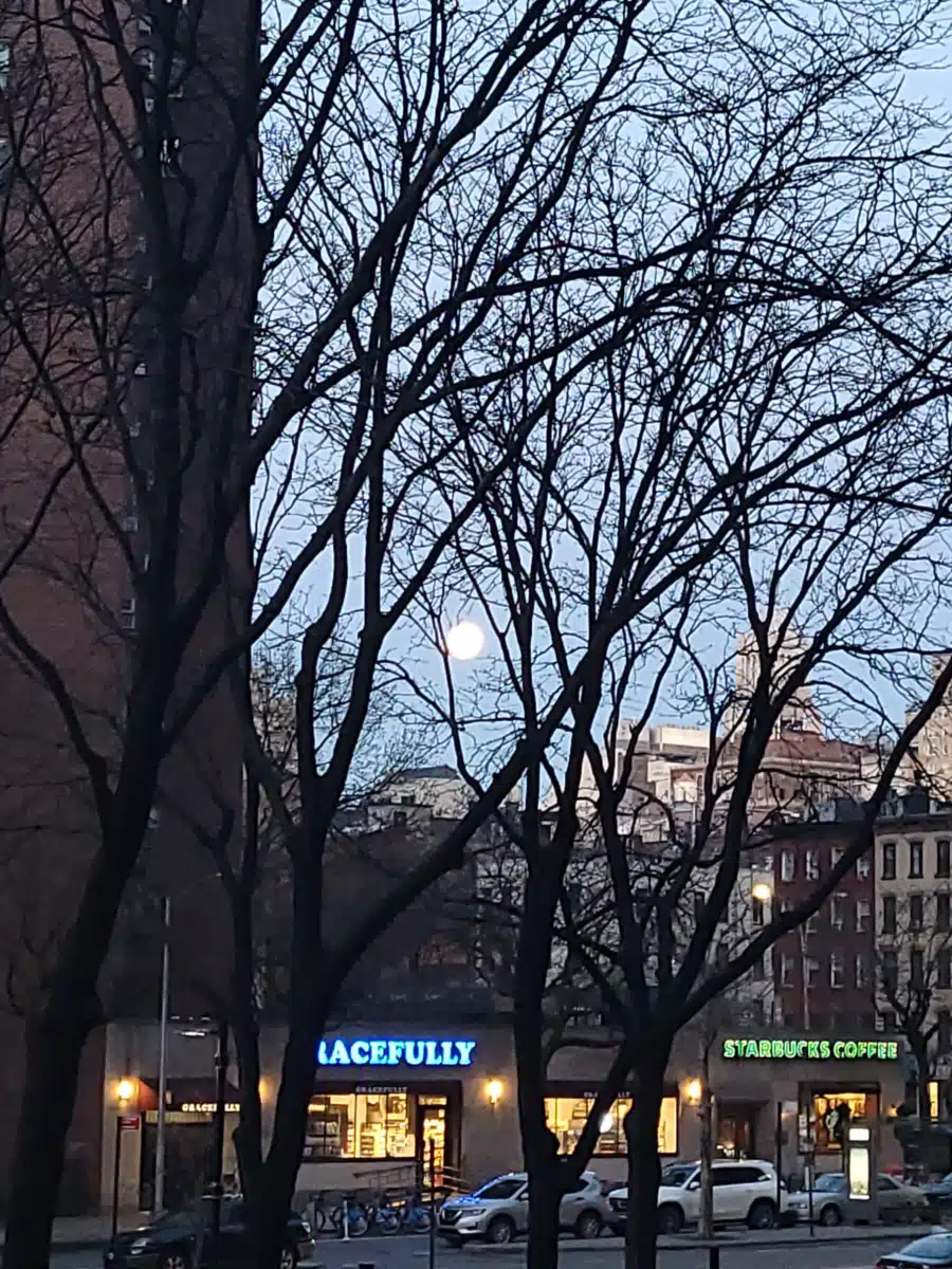 VA NY Harbor Healthcare System - Thumbnail 6