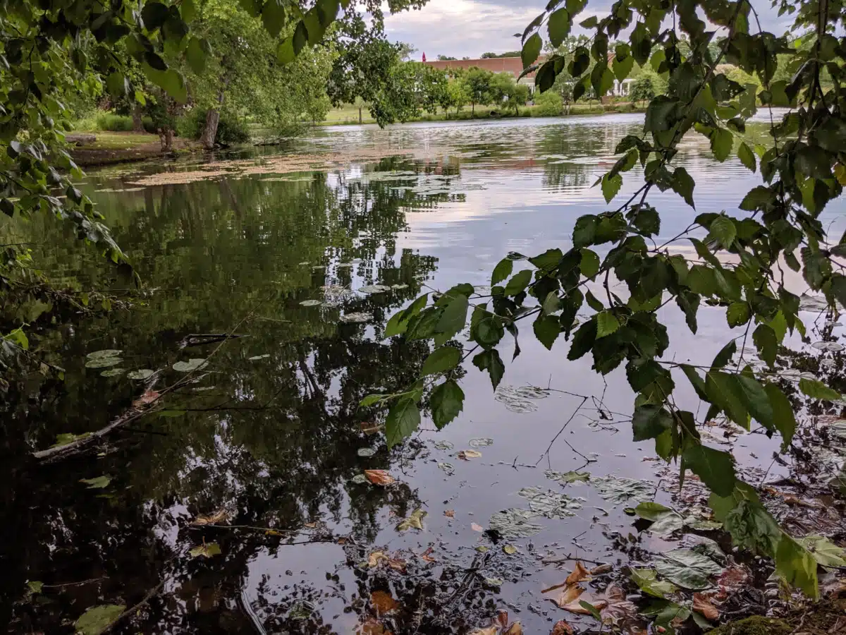 VAMED Health Group LLC - Thumbnail 3