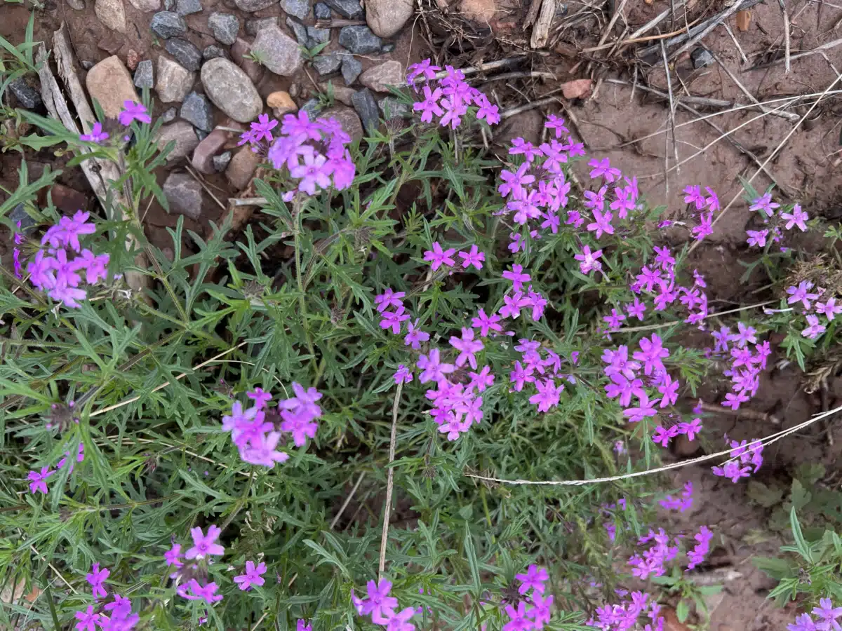 WayPoint Recovery - Thumbnail 3