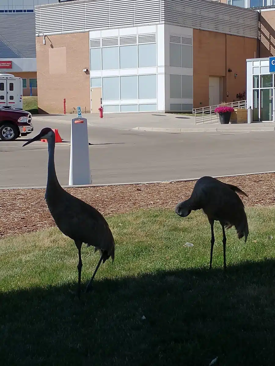 William S Middleton Veterans Hosp - Thumbnail 2