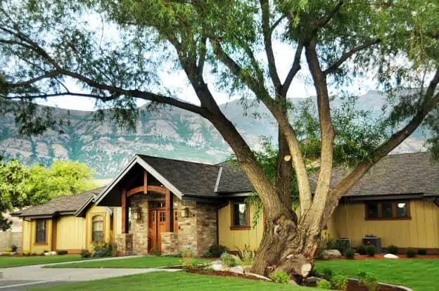 Willow Tree Recovery - Thumbnail 3