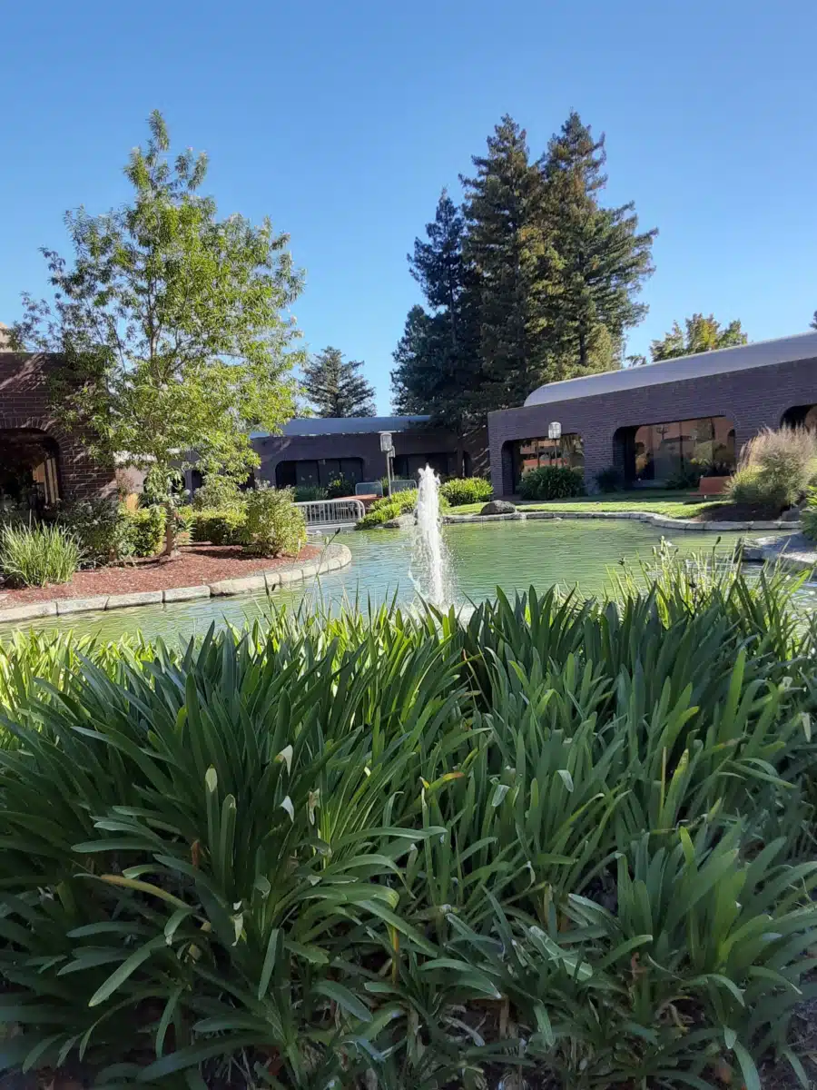 Womens Recovery Services - Thumbnail 8