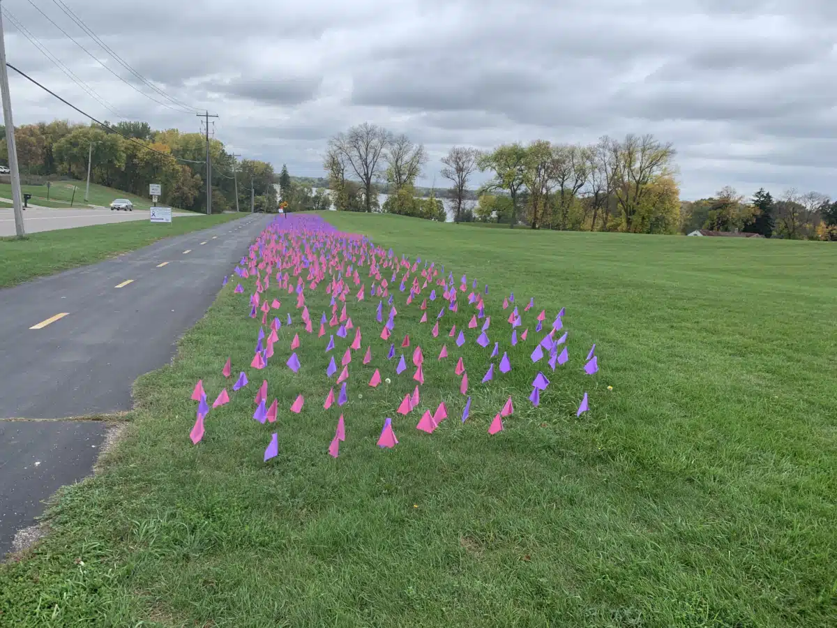 Judy Retterath Withdrawal Management - Preview